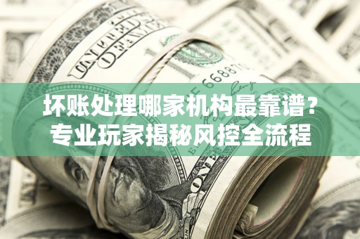 武汉坏账处理哪家机构最靠谱？专业玩家揭秘风控全流程