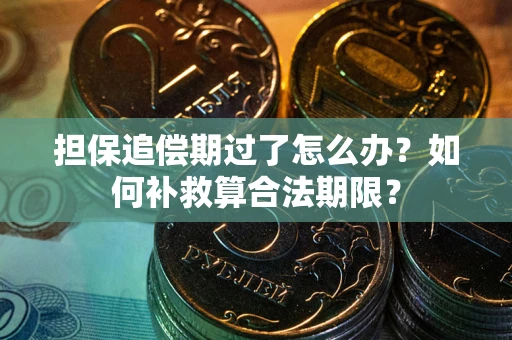 武汉担保追偿期过了怎么办？如何补救算合法期限？