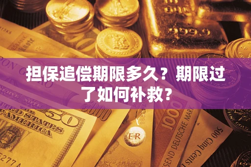 武汉担保追偿期限多久？期限过了如何补救？