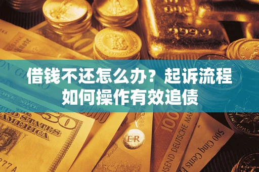 武汉借钱不还怎么办？起诉流程如何操作有效追债
