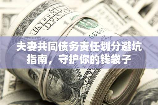 武汉夫妻共同债务责任划分避坑指南，守护你的钱袋子