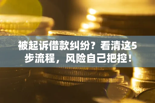 武汉被起诉借款纠纷？看清这5步流程，风险自己把控！