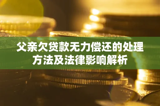 武汉父亲欠贷款无力偿还的处理方法及法律影响解析